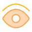 Vision Icon